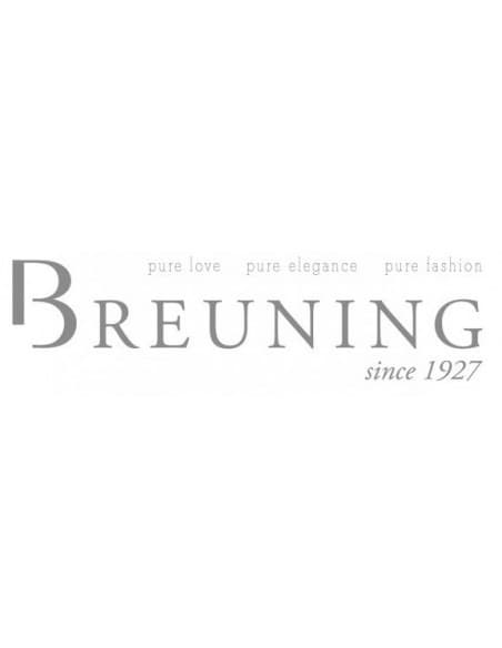 Λογότυπο Breuning